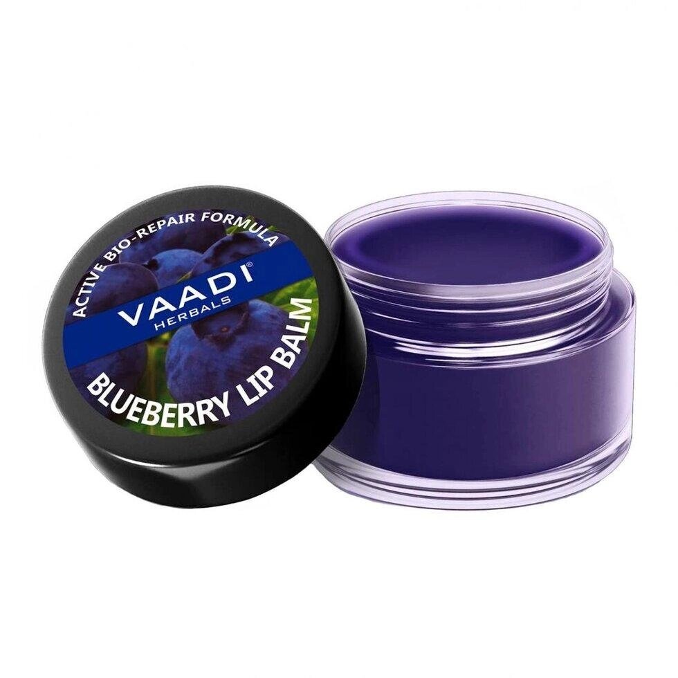 Бальзам для губ із Чернікою (10 г), Blueberry Lip Balm,  Vaadi Herbals Під замовлення з Індії 45 днів. Безкоштовна від компанії greencard - фото 1