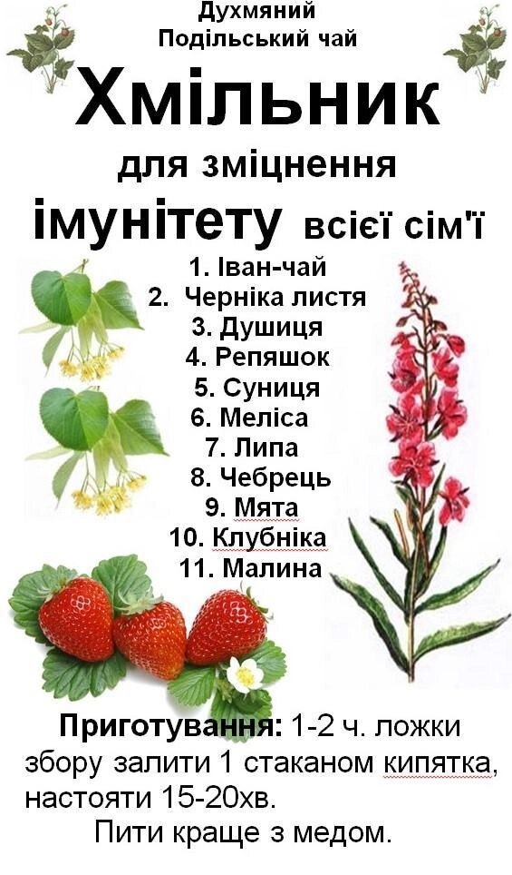 Духмяний подільський чай "Хмільник" для зміцнення імунітету всієї сім'ї, 120 грам Код/Артикул 111 від компанії greencard - фото 1