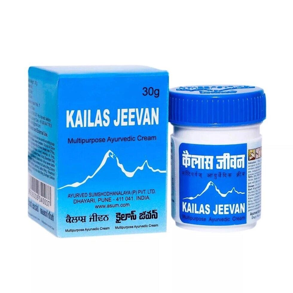 Кайлаш Джіван (30 г), Kailas Jeevan,  Ayurved Sumshodhanalaya Під замовлення з Індії 45 днів. Безкоштовна доставка. від компанії greencard - фото 1