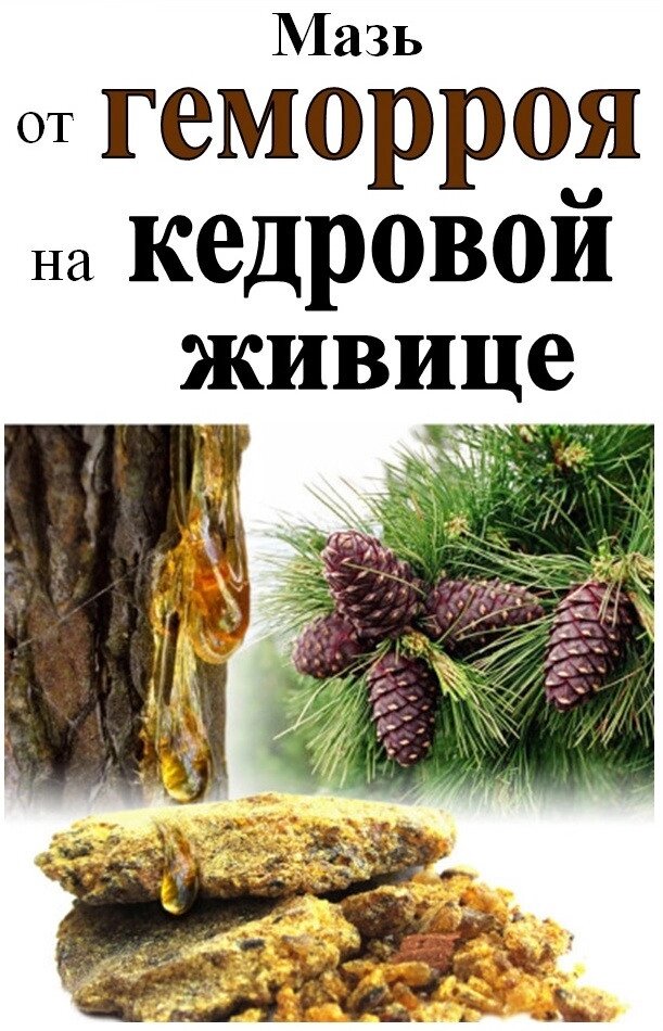 Мазь від геморою на кедрової живиці, 10 г Код/Артикул 111 від компанії greencard - фото 1