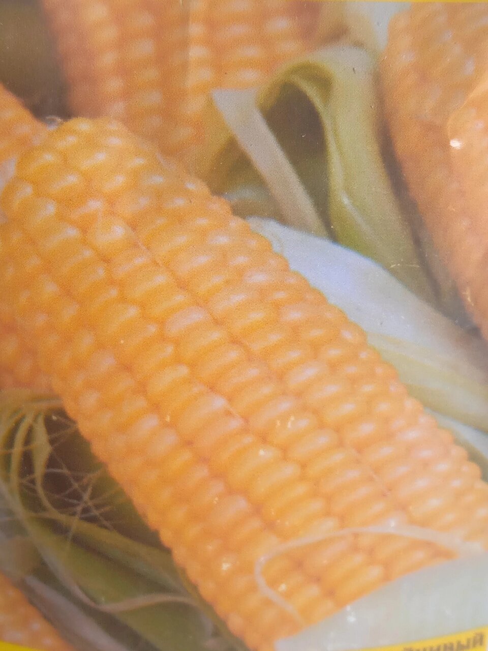 Насіння кукурудзи "Сахарне" 0,5 кг. Насіння  цукрової кукурудзи на посадку вагове Код/Артикул 72 від компанії greencard - фото 1