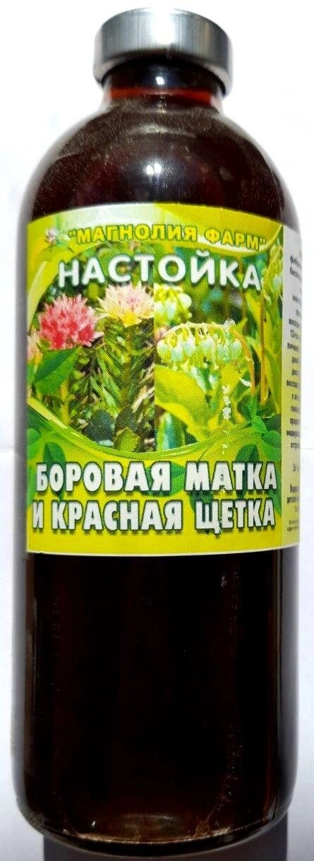 Настоянка червона щітка і борова матка, 250 мл Код/Артикул 111 С1П2-05 від компанії greencard - фото 1