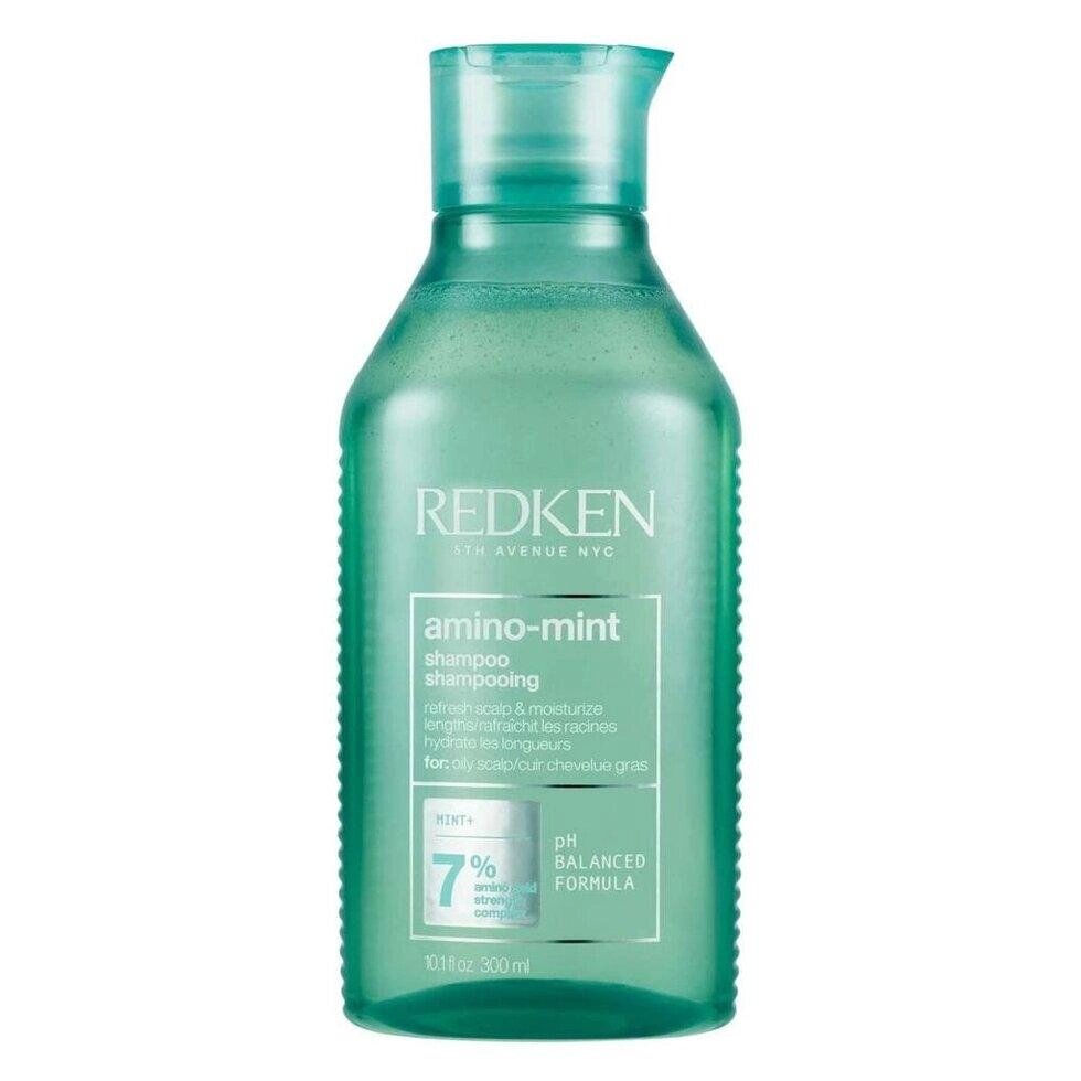 Очищаючий шампунь Redken Amino-Mint для жирного волосся (300 мл) Під замовлення з Франції за 30 днів. Доставка від компанії greencard - фото 1
