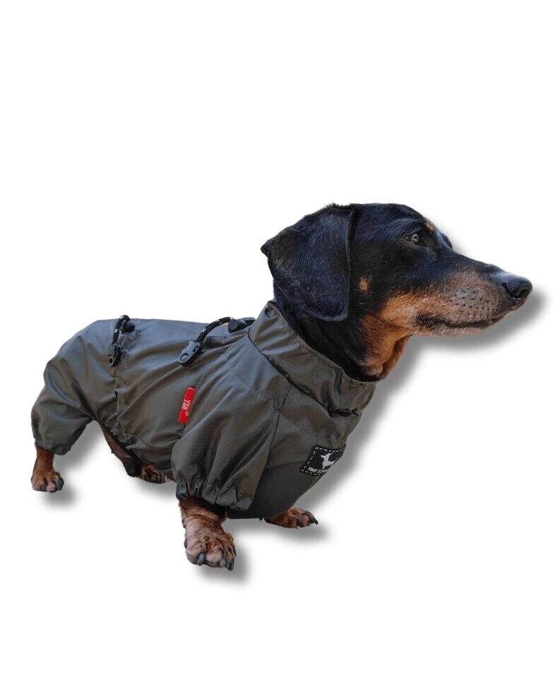 Одяг для собак дощовик без підкладки Avangard Код/Артикул 17 00756 від компанії greencard - фото 1