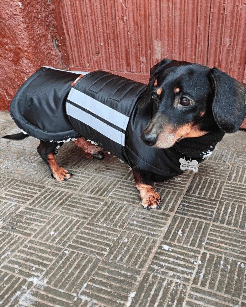 Одяг для собак з утеплювачем Aircross Код/Артикул 17 00711 від компанії greencard - фото 1