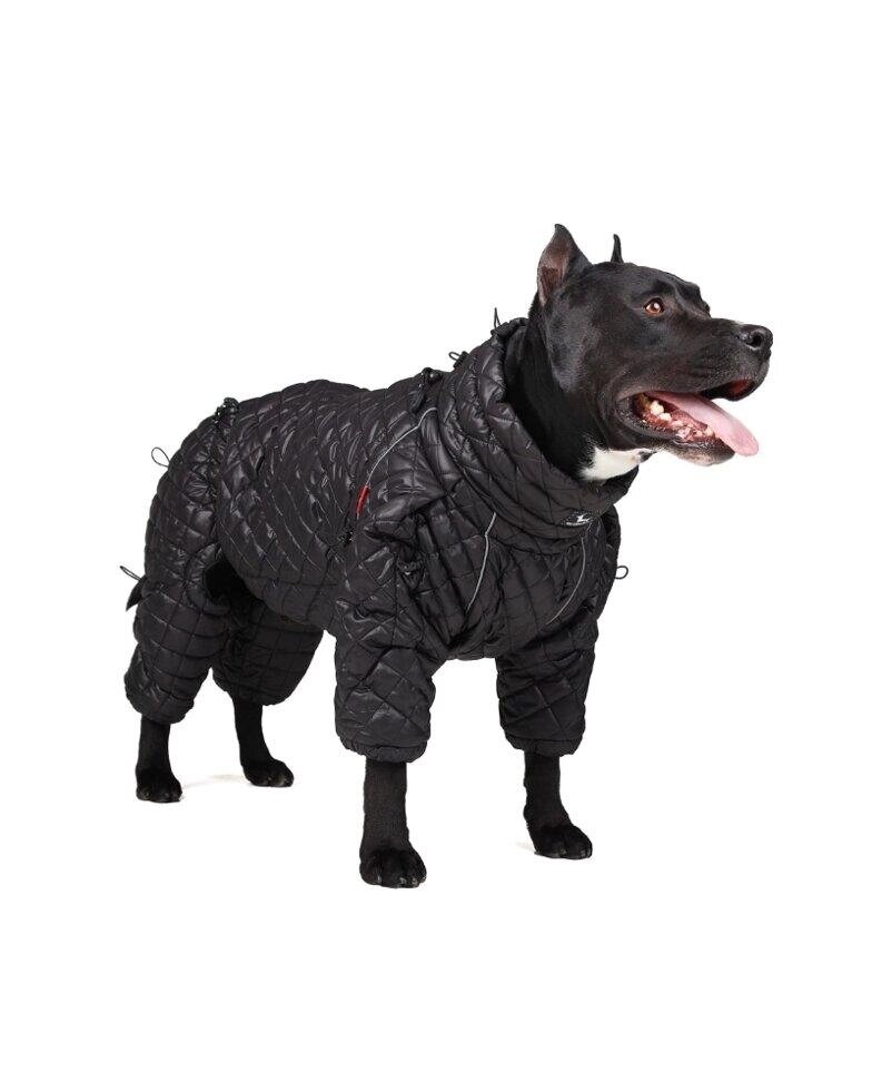 Одяг для собак з утеплювачем Siberia Black Код/Артикул 17 00460 від компанії greencard - фото 1