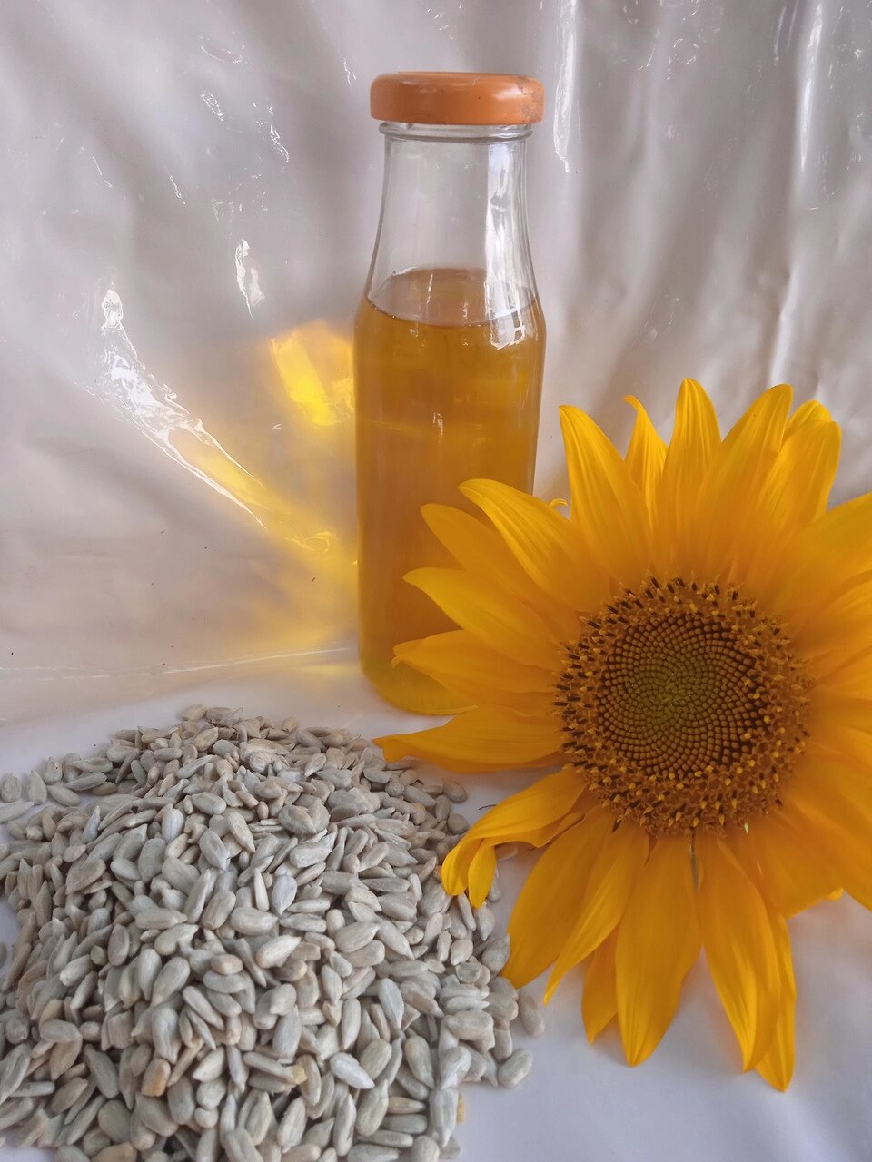 Органічна соняшникова олія з кондитерською насінням 0.5 л Код/Артикул 72 від компанії greencard - фото 1