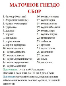 Збір маточне гніздо №1 (протипухлинне), 100 грам Код/Артикул 111