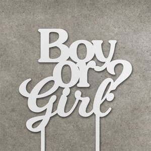 Топпер "Boy or Girl?" з ДВП ( 12 см) Код/Артикул 80 Т0185б