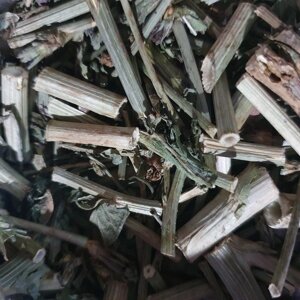 1 кг Цикорій звичайний трава/лист сушений (Свіжий урожай) лат. Cichórium íntybus