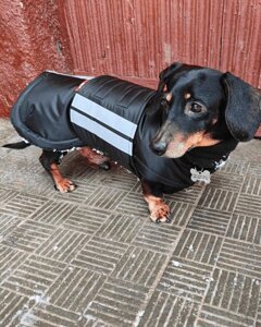 Одяг для собак з утеплювачем Aircross Код/Артикул 17 00711