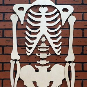 Скелет "Джека" повний зріст 170см Код/Артикул 151 437