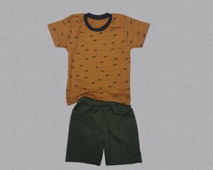 Літній комплект для хлопчика шорти + футболка Код/Артикул 83 ЗК/130/00
