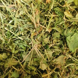 100 г зірочник середній/мокрець трава сушена (Свіжий урожай) лат. Stellária