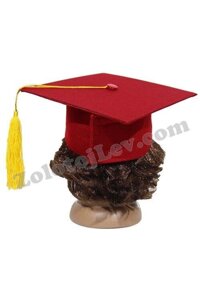 Академічна шапка вченого Код/Артикул 21 PR077151