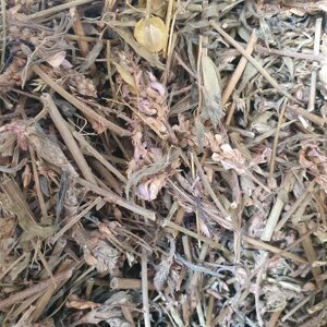 1 кг Еспарцет трава сушена (Свіжий урожай) лат. Onobrychis viciifolia