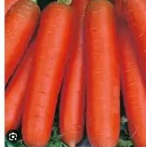2 шт Насіння моркви "Лакомка" 5 грамів Код/Артикул 72