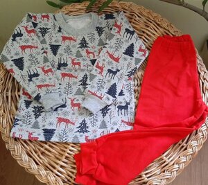 Тепла піжама з начосом для хлопчика, новорічна піжама для дітей Код/Артикул 83 VT1049\731