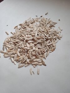 Органічне насіння білого соняшнику 1 кг Код/Артикул 72
