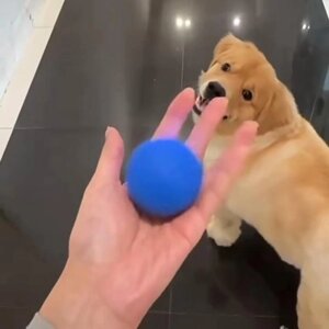 Розумний іграшковий м'яч для собак, автоматичний м'яч, що котиться, електронна інтерактивна іграшка для домашніх