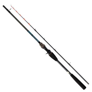 Daiwa Удочка Tenya Tachiuo X 200R для човна під замовлення з Японії за 30 днів, доставка безкоштовна