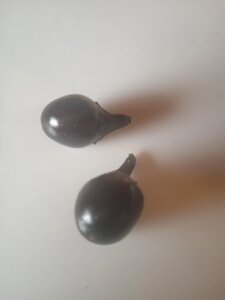 4 шт Гострий перець Blak Pearl (Чорна Перлина) насіння 5 штук Код/Артикул 72