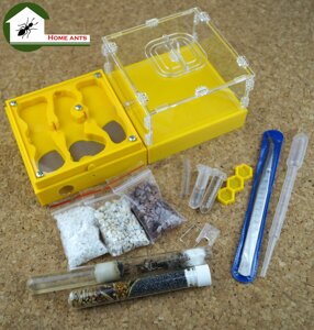 Повний комплект: мурашина ферма "Лего Старт" + мурахи messor structor (жнець) , корм та аксесуари. Код/Артикул 183