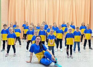 Дитяча жовто-синя футболка (від 3х до 14років) КодАртикул 2