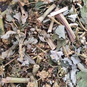 100 г таволга/гадючник в'язолистий трава сушена (Свіжий урожай) лат. Filipéndula