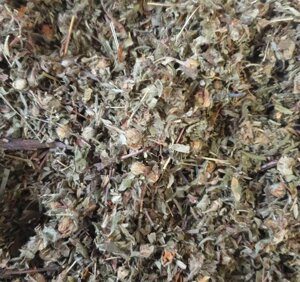 1 кг Перстач чагарниковий/п'ятилистник/курильський чай/жовта трава сушена (Свіжий урожай) лат. Dasiphora