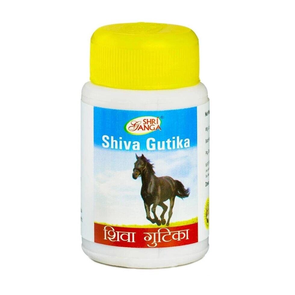 Шива Гутіка (120 таб), Shiva Gutika,  Shri Ganga Pharmacy Під замовлення з Індії 45 днів. Безкоштовна доставка. від компанії greencard - фото 1