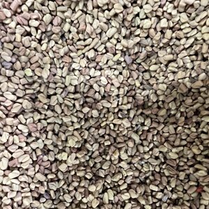 Спеція/приправа пожитник/шамбала сенна насіння сушене 100г