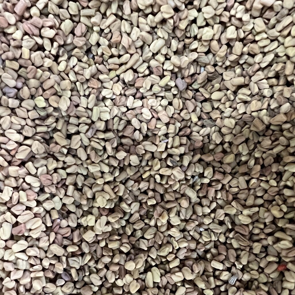 Спеція/приправа пожитник/шамбала сенна насіння сушене 100г від компанії greencard - фото 1