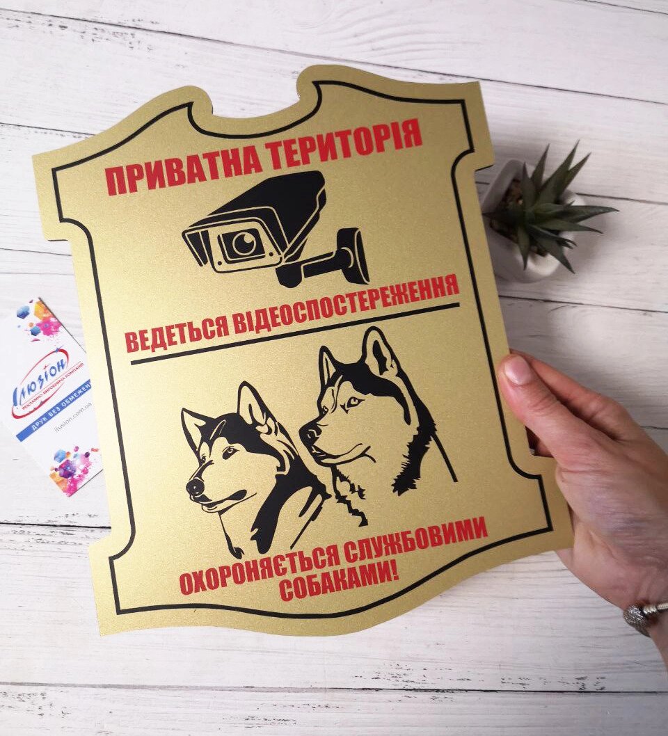 Табличка комбінована "Відеоспостереження" + "Злий собака" Код/Артикул 168 МФС-027 від компанії greencard - фото 1