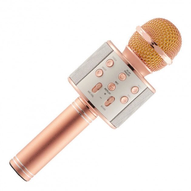 Безпровідний мікрофон для караоке Wster WS-858 від компанії Кактус - фото 1