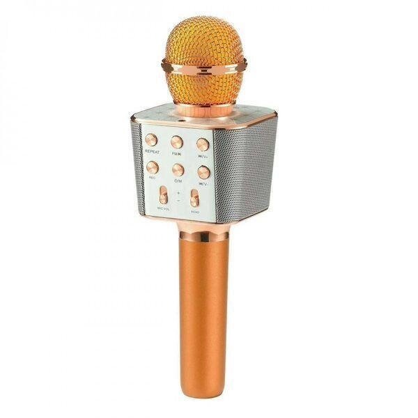 Безпровідний мікрофон караоке WSTER WS-1688 від компанії Кактус - фото 1