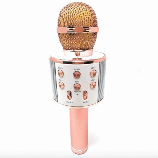 Безпровідний мікрофон караоке WSTER WS-858 від компанії Кактус - фото 1