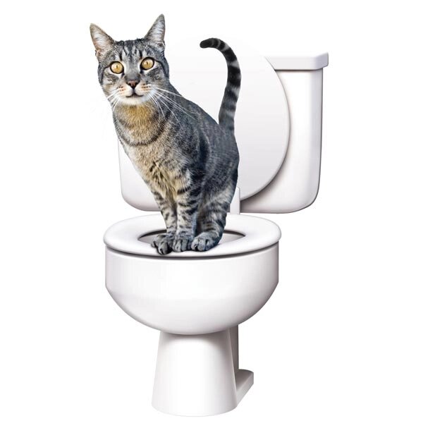 Набір Для Привчання Котів до Унітазу Туалет Citi Kitty від компанії Кактус - фото 1