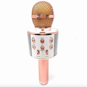 Безпровідний мікрофон караоке WSTER WS-858