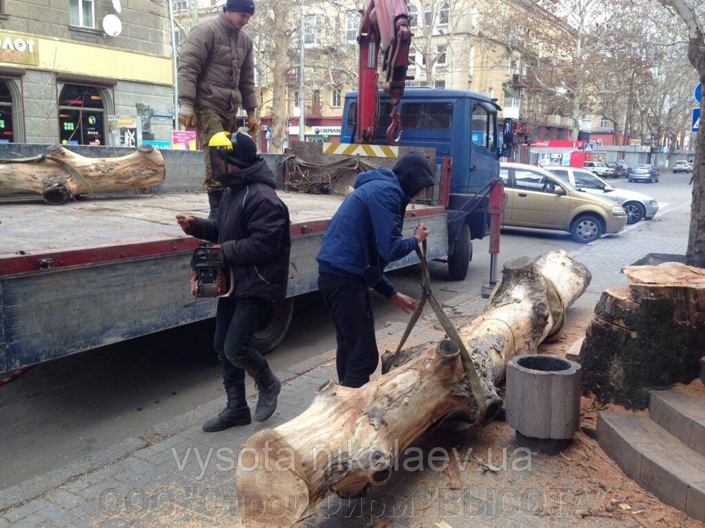 Кронування і валка дерев від компанії ТОВ "будфірми" ВИСОТА " - фото 1