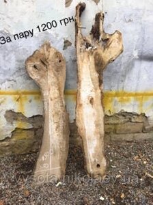 Сляб клена