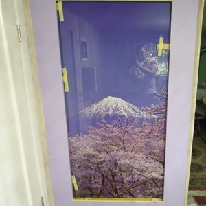 Скляне панно на стіну / Інтер'єрна картина на склі Зимова сакура