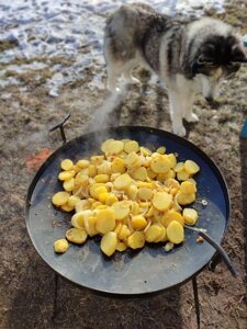 Сковорода 50см + кришка. Сковорода для м'яса садж мангал ТОП