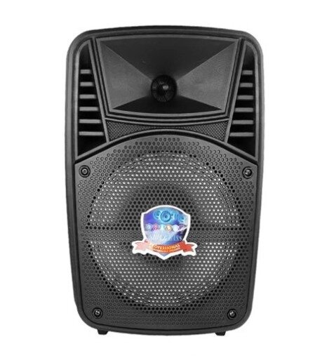 Колонка Big PK-07 bluetooth + мікрофон (248*189*371) USB/MO3/FM/TWS black від компанії shop-shap - фото 1