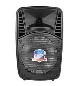 Колонка Big PK-07 bluetooth + мікрофон (248*189*371) USB/MO3/FM/TWS black