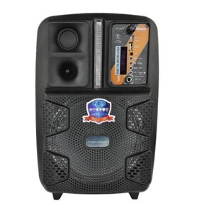 Колонка Big PK-16 bluetooth + мікрофон (198х158х320) USB/MO3/FM/TWS black