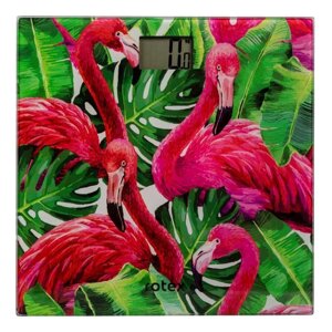 Ваги підлогові Rotex Flamingo RSB06-P 150 кг