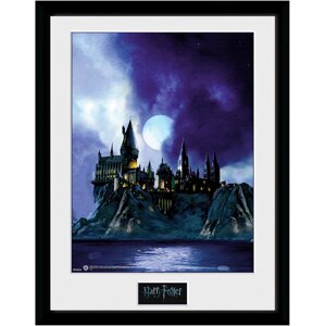 Картина HARRY POTTER Hogwarts Painted фоторамка (Гаррі Поттер)