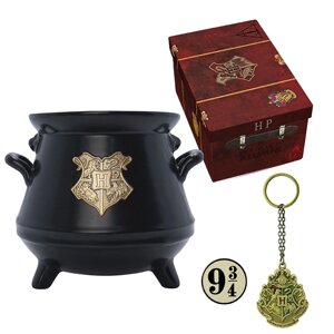 Подарунковий набір HARRY POTTER Hogwarts: чашка 3D, брелок 3D та значок у коробці