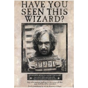 Постер HARRY POTTER Wanted Sirius Black (Гаррі Поттер) 91.5 х 61 см
